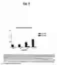 Fig. 09 - Type1 diabetes diagnostics and therapeutics