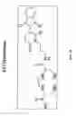 Fig. 19 - NSchelate-targeting ligand conjugates