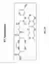 Fig. 20 - NSchelate-targeting ligand conjugates