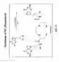 Fig. 22 - NSchelate-targeting ligand conjugates