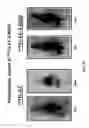 Fig. 30 - NSchelate-targeting ligand conjugates