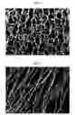 Fig. 04 - Hydrocolloids and process therefor