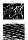 Fig. 05 - Hydrocolloids and process therefor