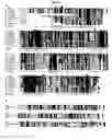 Fig. 05 - Interferon-alpha induced gene