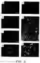Fig. 04 - Isolated lineage negative hematopoietic stem cells and methods of treatment therewith