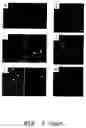 Fig. 05 - Isolated lineage negative hematopoietic stem cells and methods of treatment therewith