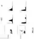 Fig. 26 - Isolated lineage negative hematopoietic stem cells and methods of treatment therewith