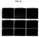 Fig. 30 - Isolated lineage negative hematopoietic stem cells and methods of treatment therewith