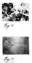Fig. 03 - Compositions comprising preconditioned myoblasts having enhanced fusion properties