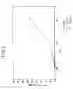 Fig. 03 - Tumor cells modified to express B7-2 with increased immunogenicity and uses therefor