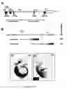Fig. 02 - Regulatory sequences that direct gene expression to spinal motor neurons and uses thereof