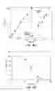 Fig. 09 - Antimicrobial activity of antibodies
