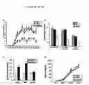 Fig. 03 - RAGE G82S-related methods and compositions for treating inflammatory disorders