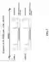 Fig. 06 - Human testis expressed patched like protein