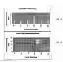 Fig. 05 - Methods for preserving the viability of photoreceptor cells by anti-FAS-ligand/anti-FAS-receptor antibodies