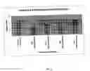 Fig. 07 - Methods for preserving the viability of photoreceptor cells by anti-FAS-ligand/anti-FAS-receptor antibodies