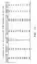 Fig. 22 - Polypeptides and antibodies derived from chronic lymphocytic leukemia cells and uses thereof