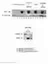 Fig. 03 - Polypeptides (MBP1) capable of interacting with oncogenic mutants of the p53 protein