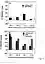 Fig. 06 - Modified HCV peptide vaccines