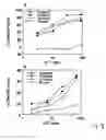 Fig. 09 - Modified HCV peptide vaccines
