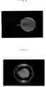Fig. 04 - Hydrogel thin film containing extracellular matrix components