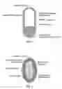 Fig. 02 - Controlled release of topiramate in liquid dosage forms