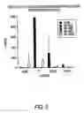Fig. 06 - Use of a chemically stabilized chlorite solution for inhibiting an antigen-specific immune response