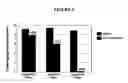 Fig. 02 - Polyphenol-containing stem and vine extracts and methods of use