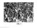 Fig. 06 - Treatment of porous article