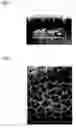 Fig. 02 - Thin-film material and method for producing same