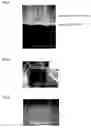 Fig. 03 - Thin-film material and method for producing same