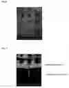 Fig. 04 - Thin-film material and method for producing same