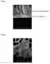 Fig. 14 - Thin-film material and method for producing same