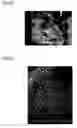 Fig. 19 - Thin-film material and method for producing same