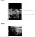 Fig. 20 - Thin-film material and method for producing same