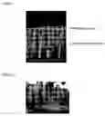 Fig. 22 - Thin-film material and method for producing same