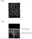 Fig. 24 - Thin-film material and method for producing same
