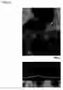 Fig. 27 - Thin-film material and method for producing same
