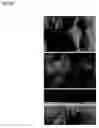 Fig. 29 - Thin-film material and method for producing same