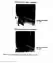 Fig. 01 - Powder for underlayer of coating-type magnetic recording medium