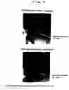 Fig. 03 - Powder for underlayer of coating-type magnetic recording medium