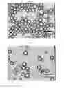 Fig. 02 - Process for producing electrophoretic microcapsules