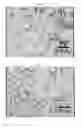 Fig. 03 - Process for producing electrophoretic microcapsules