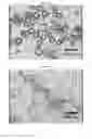 Fig. 04 - Process for producing electrophoretic microcapsules