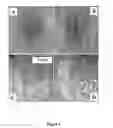 Fig. 05 - Monodisperse core/shell and other complex structured nanocrystals and methods of preparing the same