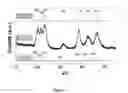 Fig. 06 - Monodisperse core/shell and other complex structured nanocrystals and methods of preparing the same