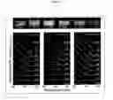 Fig. 13 - Monodisperse core/shell and other complex structured nanocrystals and methods of preparing the same