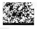 Fig. 01 - Cemented carbide tool and method of making the same