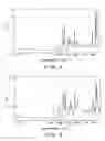 Fig. 03 - Organic electroluminescent element and display panel using said element