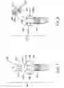 Fig. 07 - Screw device for orthodontic treatment